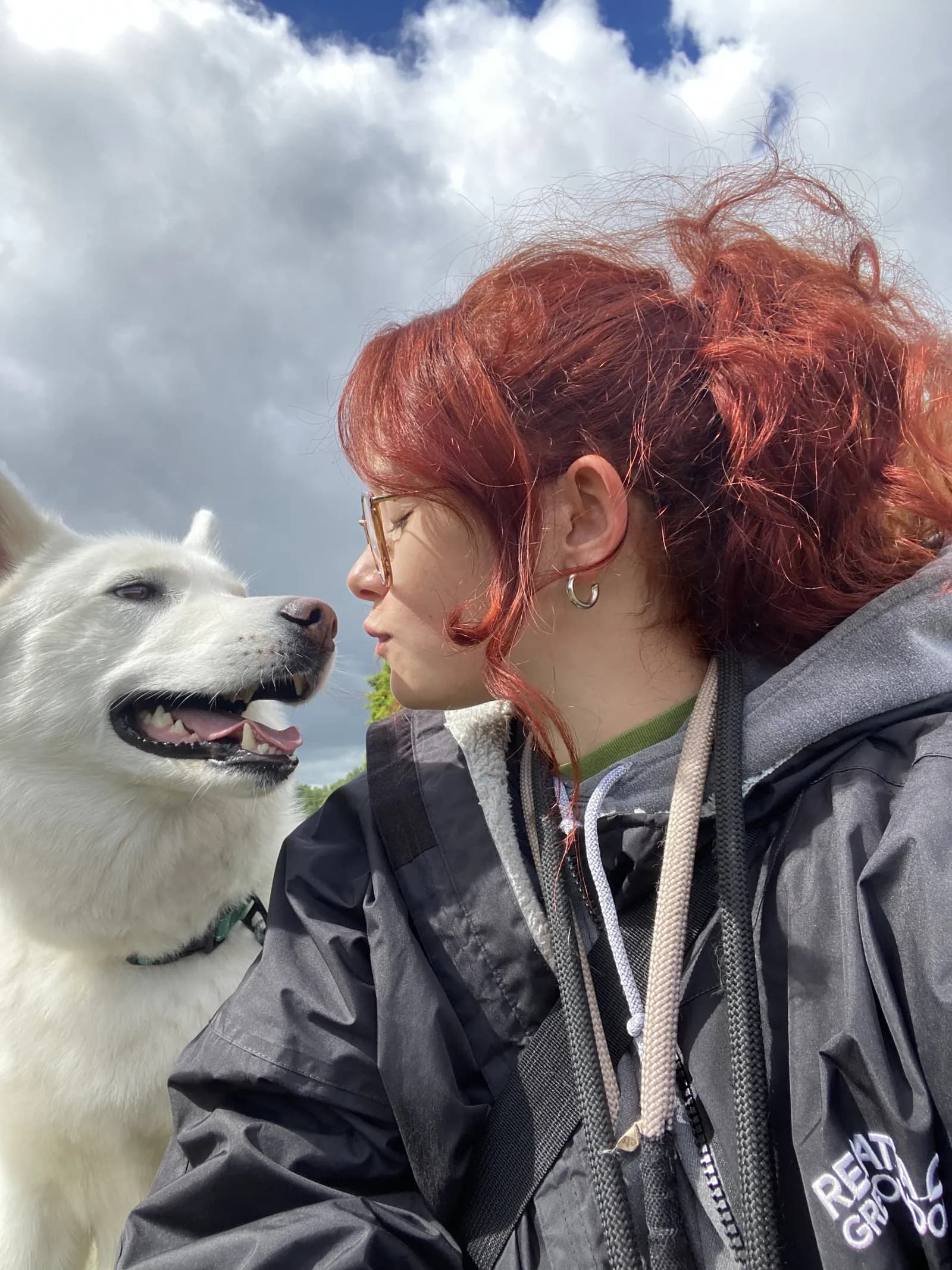 Happy dog on a walk with Chloe's Pet Care