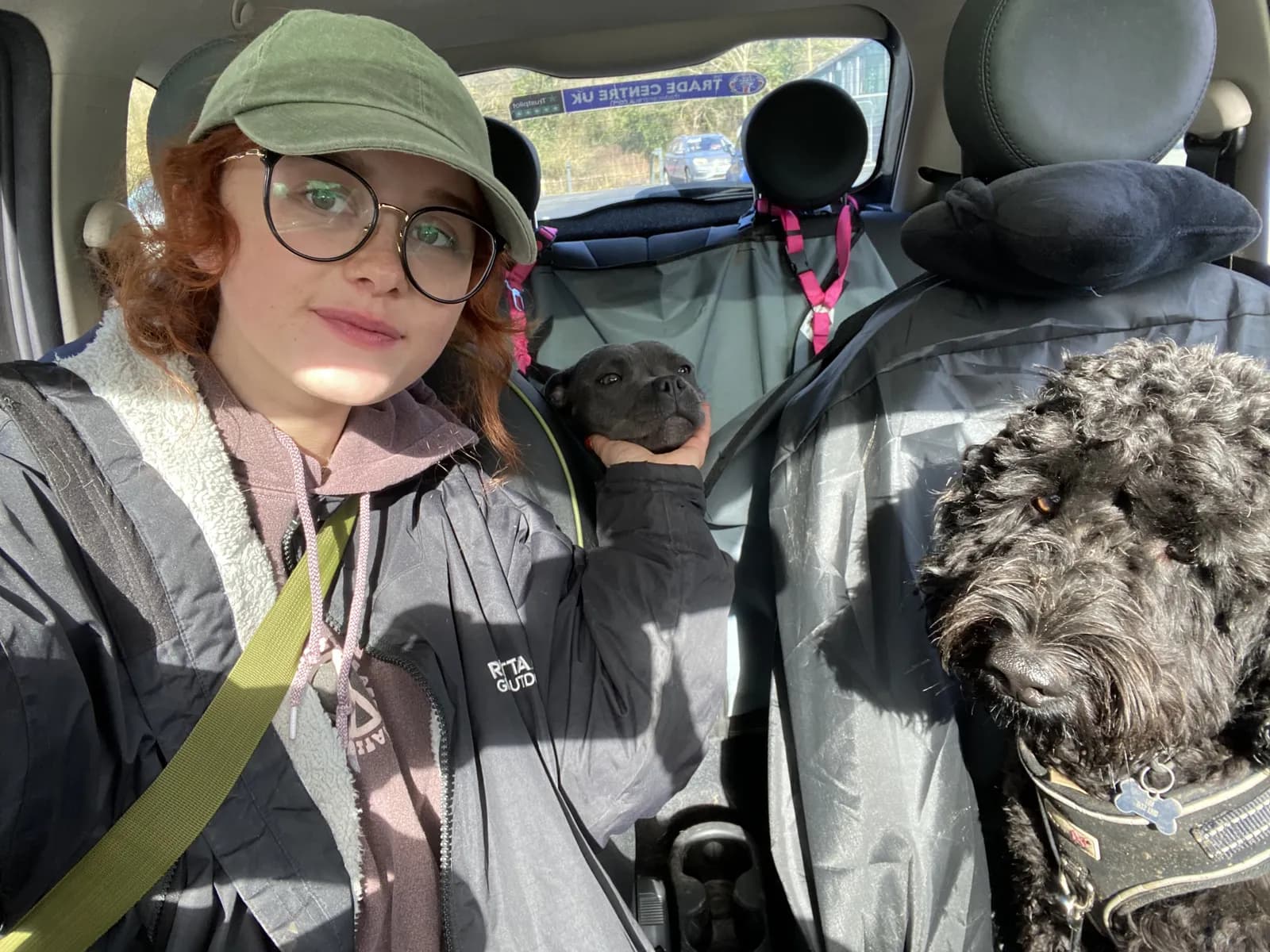 Happy dog on a walk with Chloe's Pet Care