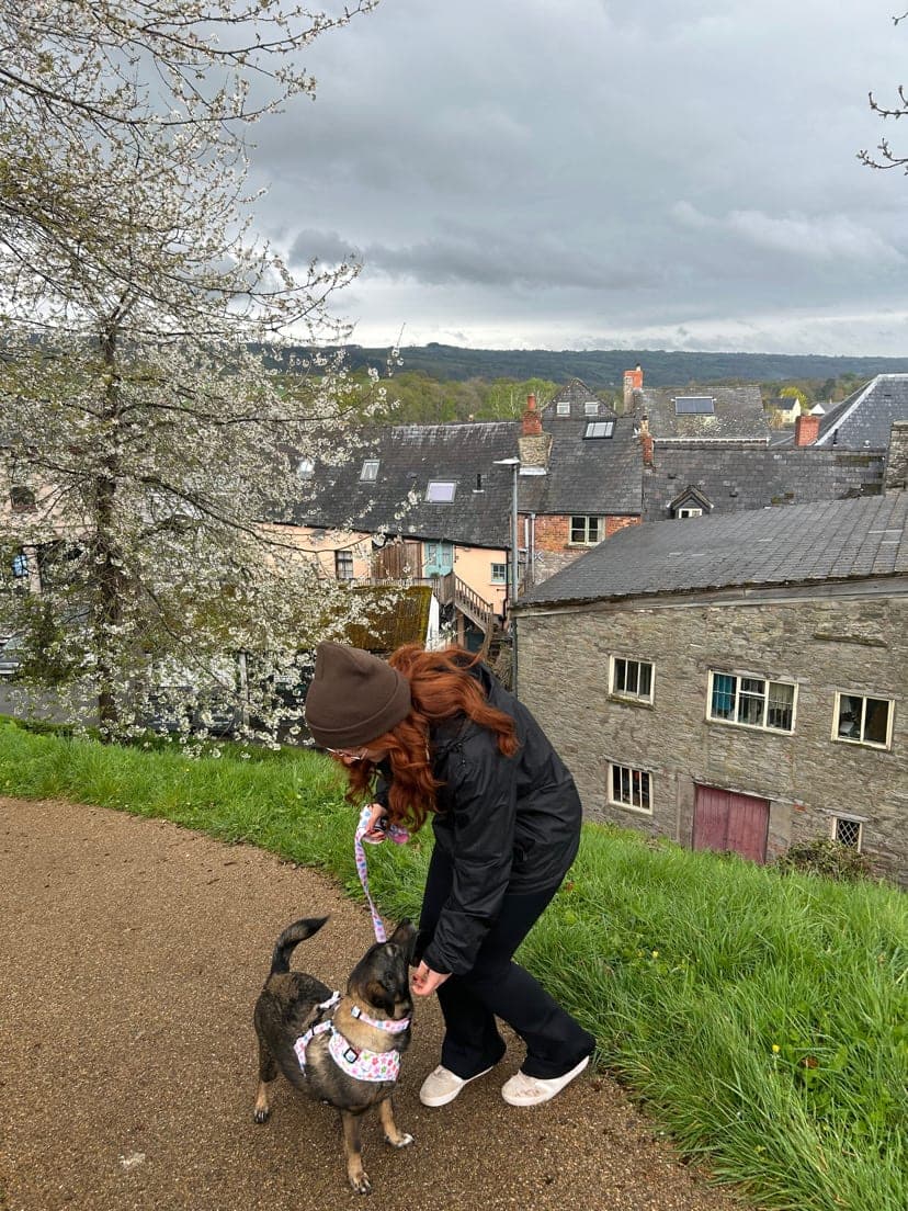 Chloe's own dog out on an adventure